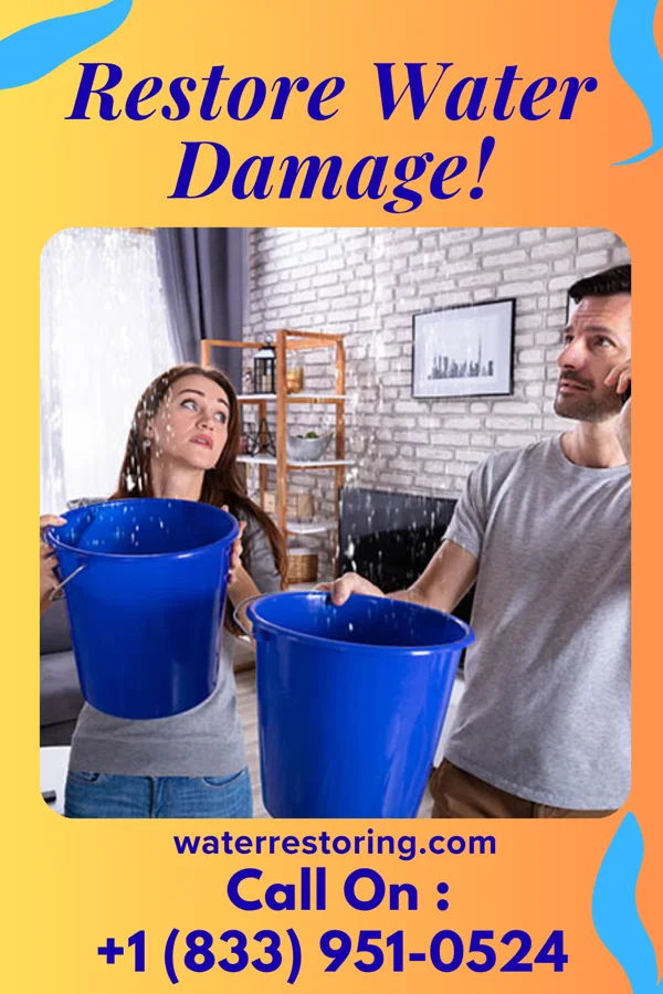 water restoration Lightning Disaster Cleanup Services South Zanesville