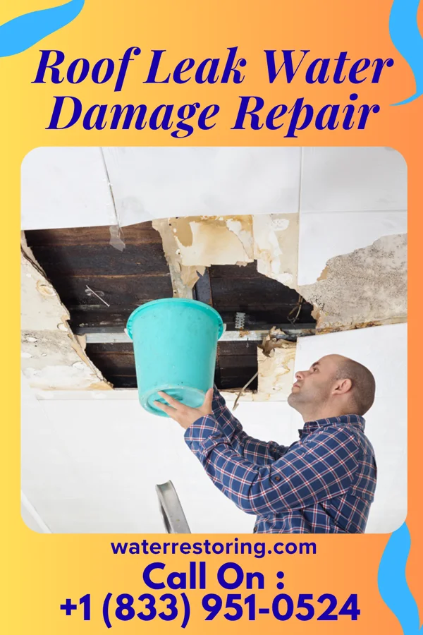 Roof Leak Water Damage Repair in South Zanesville, OH